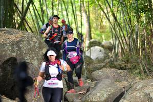 BIB: 
                            <button type="button" onclick="openModal(13671376)" class="btn btn-primary btn-sm float-right btn-popup" data-toggle="modal" data-target=".modal-high-quality">
                        <i class="fas fa-shopping-cart"></i> Add to Cart
                    </button>
                                            <button type="button" onclick="isThisMe(13671376, true)" class="btn btn-success btn-sm float-right btn-popup btn-isme hidden" data-toggle="tooltip" data-placement="bottom" title="นี่คือรูปของคุณใช่ไหม คลิกที่นี่เพื่อเอาเข้าอัลบั้ม">
                        <i class="fas fa-plus"></i> Add to album
                    </button>
                    <button type="button" onclick="isThisMe(13671376, false)" class="btn btn-warning btn-sm float-right btn-popup btn-isnotme hidden">
                        <i class="fas fa-ban"></i> Remove from album
                    </button>