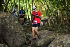 BIB: 
                            <button type="button" onclick="openModal(13668704)" class="btn btn-primary btn-sm float-right btn-popup" data-toggle="modal" data-target=".modal-high-quality">
                        <i class="fas fa-shopping-cart"></i> Add to Cart
                    </button>
                                            <button type="button" onclick="isThisMe(13668704, true)" class="btn btn-success btn-sm float-right btn-popup btn-isme hidden" data-toggle="tooltip" data-placement="bottom" title="นี่คือรูปของคุณใช่ไหม คลิกที่นี่เพื่อเอาเข้าอัลบั้ม">
                        <i class="fas fa-plus"></i> Add to album
                    </button>
                    <button type="button" onclick="isThisMe(13668704, false)" class="btn btn-warning btn-sm float-right btn-popup btn-isnotme hidden">
                        <i class="fas fa-ban"></i> Remove from album
                    </button>