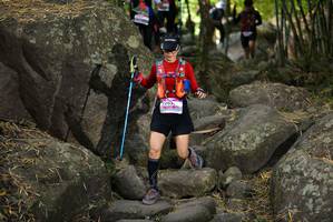 BIB: 
                            <button type="button" onclick="openModal(13668740)" class="btn btn-primary btn-sm float-right btn-popup" data-toggle="modal" data-target=".modal-high-quality">
                        <i class="fas fa-shopping-cart"></i> Add to Cart
                    </button>
                                            <button type="button" onclick="isThisMe(13668740, true)" class="btn btn-success btn-sm float-right btn-popup btn-isme hidden" data-toggle="tooltip" data-placement="bottom" title="นี่คือรูปของคุณใช่ไหม คลิกที่นี่เพื่อเอาเข้าอัลบั้ม">
                        <i class="fas fa-plus"></i> Add to album
                    </button>
                    <button type="button" onclick="isThisMe(13668740, false)" class="btn btn-warning btn-sm float-right btn-popup btn-isnotme hidden">
                        <i class="fas fa-ban"></i> Remove from album
                    </button>