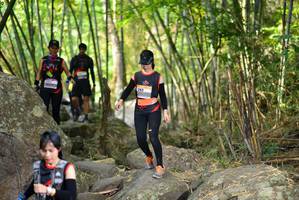 BIB: 
                            <button type="button" onclick="openModal(13678460)" class="btn btn-primary btn-sm float-right btn-popup" data-toggle="modal" data-target=".modal-high-quality">
                        <i class="fas fa-shopping-cart"></i> Add to Cart
                    </button>
                                            <button type="button" onclick="isThisMe(13678460, true)" class="btn btn-success btn-sm float-right btn-popup btn-isme hidden" data-toggle="tooltip" data-placement="bottom" title="นี่คือรูปของคุณใช่ไหม คลิกที่นี่เพื่อเอาเข้าอัลบั้ม">
                        <i class="fas fa-plus"></i> Add to album
                    </button>
                    <button type="button" onclick="isThisMe(13678460, false)" class="btn btn-warning btn-sm float-right btn-popup btn-isnotme hidden">
                        <i class="fas fa-ban"></i> Remove from album
                    </button>