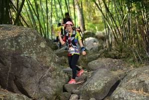 BIB: 
                            <button type="button" onclick="openModal(13678336)" class="btn btn-primary btn-sm float-right btn-popup" data-toggle="modal" data-target=".modal-high-quality">
                        <i class="fas fa-shopping-cart"></i> Add to Cart
                    </button>
                                            <button type="button" onclick="isThisMe(13678336, true)" class="btn btn-success btn-sm float-right btn-popup btn-isme hidden" data-toggle="tooltip" data-placement="bottom" title="นี่คือรูปของคุณใช่ไหม คลิกที่นี่เพื่อเอาเข้าอัลบั้ม">
                        <i class="fas fa-plus"></i> Add to album
                    </button>
                    <button type="button" onclick="isThisMe(13678336, false)" class="btn btn-warning btn-sm float-right btn-popup btn-isnotme hidden">
                        <i class="fas fa-ban"></i> Remove from album
                    </button>