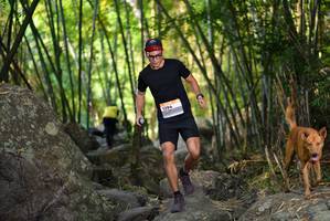 BIB: 
                            <button type="button" onclick="openModal(13645644)" class="btn btn-primary btn-sm float-right btn-popup" data-toggle="modal" data-target=".modal-high-quality">
                        <i class="fas fa-shopping-cart"></i> Add to Cart
                    </button>
                                            <button type="button" onclick="isThisMe(13645644, true)" class="btn btn-success btn-sm float-right btn-popup btn-isme hidden" data-toggle="tooltip" data-placement="bottom" title="นี่คือรูปของคุณใช่ไหม คลิกที่นี่เพื่อเอาเข้าอัลบั้ม">
                        <i class="fas fa-plus"></i> Add to album
                    </button>
                    <button type="button" onclick="isThisMe(13645644, false)" class="btn btn-warning btn-sm float-right btn-popup btn-isnotme hidden">
                        <i class="fas fa-ban"></i> Remove from album
                    </button>