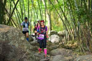 BIB: 
                            <button type="button" onclick="openModal(13692404)" class="btn btn-primary btn-sm float-right btn-popup" data-toggle="modal" data-target=".modal-high-quality">
                        <i class="fas fa-shopping-cart"></i> Add to Cart
                    </button>
                                            <button type="button" onclick="isThisMe(13692404, true)" class="btn btn-success btn-sm float-right btn-popup btn-isme hidden" data-toggle="tooltip" data-placement="bottom" title="นี่คือรูปของคุณใช่ไหม คลิกที่นี่เพื่อเอาเข้าอัลบั้ม">
                        <i class="fas fa-plus"></i> Add to album
                    </button>
                    <button type="button" onclick="isThisMe(13692404, false)" class="btn btn-warning btn-sm float-right btn-popup btn-isnotme hidden">
                        <i class="fas fa-ban"></i> Remove from album
                    </button>