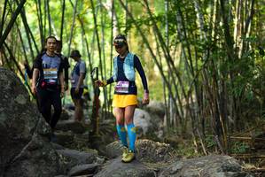 BIB: 
                            <button type="button" onclick="openModal(13648142)" class="btn btn-primary btn-sm float-right btn-popup" data-toggle="modal" data-target=".modal-high-quality">
                        <i class="fas fa-shopping-cart"></i> Add to Cart
                    </button>
                                            <button type="button" onclick="isThisMe(13648142, true)" class="btn btn-success btn-sm float-right btn-popup btn-isme hidden" data-toggle="tooltip" data-placement="bottom" title="นี่คือรูปของคุณใช่ไหม คลิกที่นี่เพื่อเอาเข้าอัลบั้ม">
                        <i class="fas fa-plus"></i> Add to album
                    </button>
                    <button type="button" onclick="isThisMe(13648142, false)" class="btn btn-warning btn-sm float-right btn-popup btn-isnotme hidden">
                        <i class="fas fa-ban"></i> Remove from album
                    </button>