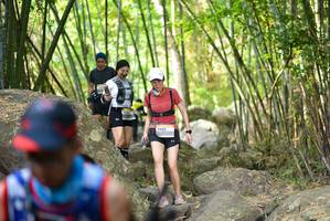 BIB: 
                            <button type="button" onclick="openModal(13678219)" class="btn btn-primary btn-sm float-right btn-popup" data-toggle="modal" data-target=".modal-high-quality">
                        <i class="fas fa-shopping-cart"></i> Add to Cart
                    </button>
                                            <button type="button" onclick="isThisMe(13678219, true)" class="btn btn-success btn-sm float-right btn-popup btn-isme hidden" data-toggle="tooltip" data-placement="bottom" title="นี่คือรูปของคุณใช่ไหม คลิกที่นี่เพื่อเอาเข้าอัลบั้ม">
                        <i class="fas fa-plus"></i> Add to album
                    </button>
                    <button type="button" onclick="isThisMe(13678219, false)" class="btn btn-warning btn-sm float-right btn-popup btn-isnotme hidden">
                        <i class="fas fa-ban"></i> Remove from album
                    </button>