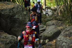 BIB: 
                            <button type="button" onclick="openModal(13668760)" class="btn btn-primary btn-sm float-right btn-popup" data-toggle="modal" data-target=".modal-high-quality">
                        <i class="fas fa-shopping-cart"></i> Add to Cart
                    </button>
                                            <button type="button" onclick="isThisMe(13668760, true)" class="btn btn-success btn-sm float-right btn-popup btn-isme hidden" data-toggle="tooltip" data-placement="bottom" title="นี่คือรูปของคุณใช่ไหม คลิกที่นี่เพื่อเอาเข้าอัลบั้ม">
                        <i class="fas fa-plus"></i> Add to album
                    </button>
                    <button type="button" onclick="isThisMe(13668760, false)" class="btn btn-warning btn-sm float-right btn-popup btn-isnotme hidden">
                        <i class="fas fa-ban"></i> Remove from album
                    </button>