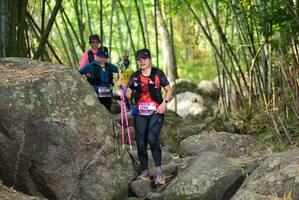 BIB: 
                            <button type="button" onclick="openModal(13688754)" class="btn btn-primary btn-sm float-right btn-popup" data-toggle="modal" data-target=".modal-high-quality">
                        <i class="fas fa-shopping-cart"></i> Add to Cart
                    </button>
                                            <button type="button" onclick="isThisMe(13688754, true)" class="btn btn-success btn-sm float-right btn-popup btn-isme hidden" data-toggle="tooltip" data-placement="bottom" title="นี่คือรูปของคุณใช่ไหม คลิกที่นี่เพื่อเอาเข้าอัลบั้ม">
                        <i class="fas fa-plus"></i> Add to album
                    </button>
                    <button type="button" onclick="isThisMe(13688754, false)" class="btn btn-warning btn-sm float-right btn-popup btn-isnotme hidden">
                        <i class="fas fa-ban"></i> Remove from album
                    </button>