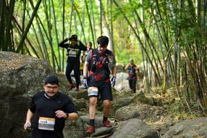 BIB: 
                            <button type="button" onclick="openModal(13693104)" class="btn btn-primary btn-sm float-right btn-popup" data-toggle="modal" data-target=".modal-high-quality">
                        <i class="fas fa-shopping-cart"></i> Add to Cart
                    </button>
                                            <button type="button" onclick="isThisMe(13693104, true)" class="btn btn-success btn-sm float-right btn-popup btn-isme hidden" data-toggle="tooltip" data-placement="bottom" title="นี่คือรูปของคุณใช่ไหม คลิกที่นี่เพื่อเอาเข้าอัลบั้ม">
                        <i class="fas fa-plus"></i> Add to album
                    </button>
                    <button type="button" onclick="isThisMe(13693104, false)" class="btn btn-warning btn-sm float-right btn-popup btn-isnotme hidden">
                        <i class="fas fa-ban"></i> Remove from album
                    </button>