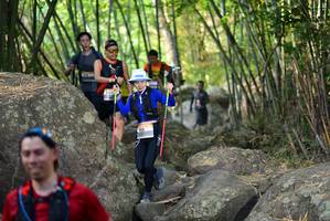 BIB: 
                            <button type="button" onclick="openModal(13664538)" class="btn btn-primary btn-sm float-right btn-popup" data-toggle="modal" data-target=".modal-high-quality">
                        <i class="fas fa-shopping-cart"></i> Add to Cart
                    </button>
                                            <button type="button" onclick="isThisMe(13664538, true)" class="btn btn-success btn-sm float-right btn-popup btn-isme hidden" data-toggle="tooltip" data-placement="bottom" title="นี่คือรูปของคุณใช่ไหม คลิกที่นี่เพื่อเอาเข้าอัลบั้ม">
                        <i class="fas fa-plus"></i> Add to album
                    </button>
                    <button type="button" onclick="isThisMe(13664538, false)" class="btn btn-warning btn-sm float-right btn-popup btn-isnotme hidden">
                        <i class="fas fa-ban"></i> Remove from album
                    </button>