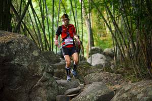 BIB: 
                            <button type="button" onclick="openModal(13644876)" class="btn btn-primary btn-sm float-right btn-popup" data-toggle="modal" data-target=".modal-high-quality">
                        <i class="fas fa-shopping-cart"></i> Add to Cart
                    </button>
                                            <button type="button" onclick="isThisMe(13644876, true)" class="btn btn-success btn-sm float-right btn-popup btn-isme hidden" data-toggle="tooltip" data-placement="bottom" title="นี่คือรูปของคุณใช่ไหม คลิกที่นี่เพื่อเอาเข้าอัลบั้ม">
                        <i class="fas fa-plus"></i> Add to album
                    </button>
                    <button type="button" onclick="isThisMe(13644876, false)" class="btn btn-warning btn-sm float-right btn-popup btn-isnotme hidden">
                        <i class="fas fa-ban"></i> Remove from album
                    </button>