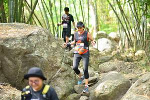 BIB: 
                            <button type="button" onclick="openModal(13696441)" class="btn btn-primary btn-sm float-right btn-popup" data-toggle="modal" data-target=".modal-high-quality">
                        <i class="fas fa-shopping-cart"></i> Add to Cart
                    </button>
                                            <button type="button" onclick="isThisMe(13696441, true)" class="btn btn-success btn-sm float-right btn-popup btn-isme hidden" data-toggle="tooltip" data-placement="bottom" title="นี่คือรูปของคุณใช่ไหม คลิกที่นี่เพื่อเอาเข้าอัลบั้ม">
                        <i class="fas fa-plus"></i> Add to album
                    </button>
                    <button type="button" onclick="isThisMe(13696441, false)" class="btn btn-warning btn-sm float-right btn-popup btn-isnotme hidden">
                        <i class="fas fa-ban"></i> Remove from album
                    </button>