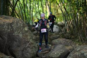 BIB: 
                            <button type="button" onclick="openModal(13668628)" class="btn btn-primary btn-sm float-right btn-popup" data-toggle="modal" data-target=".modal-high-quality">
                        <i class="fas fa-shopping-cart"></i> Add to Cart
                    </button>
                                            <button type="button" onclick="isThisMe(13668628, true)" class="btn btn-success btn-sm float-right btn-popup btn-isme hidden" data-toggle="tooltip" data-placement="bottom" title="นี่คือรูปของคุณใช่ไหม คลิกที่นี่เพื่อเอาเข้าอัลบั้ม">
                        <i class="fas fa-plus"></i> Add to album
                    </button>
                    <button type="button" onclick="isThisMe(13668628, false)" class="btn btn-warning btn-sm float-right btn-popup btn-isnotme hidden">
                        <i class="fas fa-ban"></i> Remove from album
                    </button>