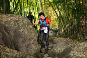 BIB: 
                            <button type="button" onclick="openModal(13645365)" class="btn btn-primary btn-sm float-right btn-popup" data-toggle="modal" data-target=".modal-high-quality">
                        <i class="fas fa-shopping-cart"></i> Add to Cart
                    </button>
                                            <button type="button" onclick="isThisMe(13645365, true)" class="btn btn-success btn-sm float-right btn-popup btn-isme hidden" data-toggle="tooltip" data-placement="bottom" title="นี่คือรูปของคุณใช่ไหม คลิกที่นี่เพื่อเอาเข้าอัลบั้ม">
                        <i class="fas fa-plus"></i> Add to album
                    </button>
                    <button type="button" onclick="isThisMe(13645365, false)" class="btn btn-warning btn-sm float-right btn-popup btn-isnotme hidden">
                        <i class="fas fa-ban"></i> Remove from album
                    </button>