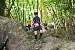 BIB: 
                            <button type="button" onclick="openModal(13678016)" class="btn btn-primary btn-sm float-right btn-popup" data-toggle="modal" data-target=".modal-high-quality">
                        <i class="fas fa-shopping-cart"></i> Add to Cart
                    </button>
                                            <button type="button" onclick="isThisMe(13678016, true)" class="btn btn-success btn-sm float-right btn-popup btn-isme hidden" data-toggle="tooltip" data-placement="bottom" title="นี่คือรูปของคุณใช่ไหม คลิกที่นี่เพื่อเอาเข้าอัลบั้ม">
                        <i class="fas fa-plus"></i> Add to album
                    </button>
                    <button type="button" onclick="isThisMe(13678016, false)" class="btn btn-warning btn-sm float-right btn-popup btn-isnotme hidden">
                        <i class="fas fa-ban"></i> Remove from album
                    </button>