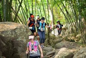 BIB: 
                            <button type="button" onclick="openModal(13695613)" class="btn btn-primary btn-sm float-right btn-popup" data-toggle="modal" data-target=".modal-high-quality">
                        <i class="fas fa-shopping-cart"></i> Add to Cart
                    </button>
                                            <button type="button" onclick="isThisMe(13695613, true)" class="btn btn-success btn-sm float-right btn-popup btn-isme hidden" data-toggle="tooltip" data-placement="bottom" title="นี่คือรูปของคุณใช่ไหม คลิกที่นี่เพื่อเอาเข้าอัลบั้ม">
                        <i class="fas fa-plus"></i> Add to album
                    </button>
                    <button type="button" onclick="isThisMe(13695613, false)" class="btn btn-warning btn-sm float-right btn-popup btn-isnotme hidden">
                        <i class="fas fa-ban"></i> Remove from album
                    </button>