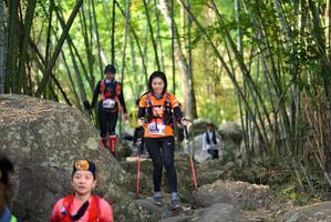 BIB: 
                            <button type="button" onclick="openModal(13651572)" class="btn btn-primary btn-sm float-right btn-popup" data-toggle="modal" data-target=".modal-high-quality">
                        <i class="fas fa-shopping-cart"></i> Add to Cart
                    </button>
                                            <button type="button" onclick="isThisMe(13651572, true)" class="btn btn-success btn-sm float-right btn-popup btn-isme hidden" data-toggle="tooltip" data-placement="bottom" title="นี่คือรูปของคุณใช่ไหม คลิกที่นี่เพื่อเอาเข้าอัลบั้ม">
                        <i class="fas fa-plus"></i> Add to album
                    </button>
                    <button type="button" onclick="isThisMe(13651572, false)" class="btn btn-warning btn-sm float-right btn-popup btn-isnotme hidden">
                        <i class="fas fa-ban"></i> Remove from album
                    </button>