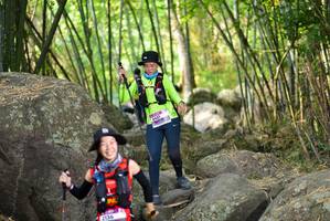 BIB: 
                            <button type="button" onclick="openModal(13688719)" class="btn btn-primary btn-sm float-right btn-popup" data-toggle="modal" data-target=".modal-high-quality">
                        <i class="fas fa-shopping-cart"></i> Add to Cart
                    </button>
                                            <button type="button" onclick="isThisMe(13688719, true)" class="btn btn-success btn-sm float-right btn-popup btn-isme hidden" data-toggle="tooltip" data-placement="bottom" title="นี่คือรูปของคุณใช่ไหม คลิกที่นี่เพื่อเอาเข้าอัลบั้ม">
                        <i class="fas fa-plus"></i> Add to album
                    </button>
                    <button type="button" onclick="isThisMe(13688719, false)" class="btn btn-warning btn-sm float-right btn-popup btn-isnotme hidden">
                        <i class="fas fa-ban"></i> Remove from album
                    </button>