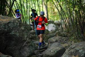 BIB: 
                            <button type="button" onclick="openModal(13664769)" class="btn btn-primary btn-sm float-right btn-popup" data-toggle="modal" data-target=".modal-high-quality">
                        <i class="fas fa-shopping-cart"></i> Add to Cart
                    </button>
                                            <button type="button" onclick="isThisMe(13664769, true)" class="btn btn-success btn-sm float-right btn-popup btn-isme hidden" data-toggle="tooltip" data-placement="bottom" title="นี่คือรูปของคุณใช่ไหม คลิกที่นี่เพื่อเอาเข้าอัลบั้ม">
                        <i class="fas fa-plus"></i> Add to album
                    </button>
                    <button type="button" onclick="isThisMe(13664769, false)" class="btn btn-warning btn-sm float-right btn-popup btn-isnotme hidden">
                        <i class="fas fa-ban"></i> Remove from album
                    </button>