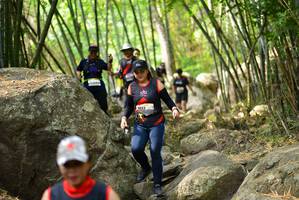 BIB: 
                            <button type="button" onclick="openModal(13696249)" class="btn btn-primary btn-sm float-right btn-popup" data-toggle="modal" data-target=".modal-high-quality">
                        <i class="fas fa-shopping-cart"></i> Add to Cart
                    </button>
                                            <button type="button" onclick="isThisMe(13696249, true)" class="btn btn-success btn-sm float-right btn-popup btn-isme hidden" data-toggle="tooltip" data-placement="bottom" title="นี่คือรูปของคุณใช่ไหม คลิกที่นี่เพื่อเอาเข้าอัลบั้ม">
                        <i class="fas fa-plus"></i> Add to album
                    </button>
                    <button type="button" onclick="isThisMe(13696249, false)" class="btn btn-warning btn-sm float-right btn-popup btn-isnotme hidden">
                        <i class="fas fa-ban"></i> Remove from album
                    </button>