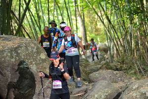 BIB: 
                            <button type="button" onclick="openModal(13671397)" class="btn btn-primary btn-sm float-right btn-popup" data-toggle="modal" data-target=".modal-high-quality">
                        <i class="fas fa-shopping-cart"></i> Add to Cart
                    </button>
                                            <button type="button" onclick="isThisMe(13671397, true)" class="btn btn-success btn-sm float-right btn-popup btn-isme hidden" data-toggle="tooltip" data-placement="bottom" title="นี่คือรูปของคุณใช่ไหม คลิกที่นี่เพื่อเอาเข้าอัลบั้ม">
                        <i class="fas fa-plus"></i> Add to album
                    </button>
                    <button type="button" onclick="isThisMe(13671397, false)" class="btn btn-warning btn-sm float-right btn-popup btn-isnotme hidden">
                        <i class="fas fa-ban"></i> Remove from album
                    </button>