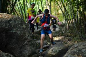 BIB: 
                            <button type="button" onclick="openModal(13656958)" class="btn btn-primary btn-sm float-right btn-popup" data-toggle="modal" data-target=".modal-high-quality">
                        <i class="fas fa-shopping-cart"></i> Add to Cart
                    </button>
                                            <button type="button" onclick="isThisMe(13656958, true)" class="btn btn-success btn-sm float-right btn-popup btn-isme hidden" data-toggle="tooltip" data-placement="bottom" title="นี่คือรูปของคุณใช่ไหม คลิกที่นี่เพื่อเอาเข้าอัลบั้ม">
                        <i class="fas fa-plus"></i> Add to album
                    </button>
                    <button type="button" onclick="isThisMe(13656958, false)" class="btn btn-warning btn-sm float-right btn-popup btn-isnotme hidden">
                        <i class="fas fa-ban"></i> Remove from album
                    </button>