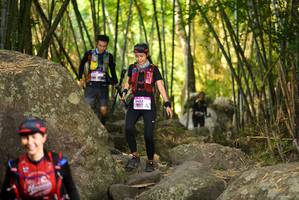 BIB: 
                            <button type="button" onclick="openModal(13645451)" class="btn btn-primary btn-sm float-right btn-popup" data-toggle="modal" data-target=".modal-high-quality">
                        <i class="fas fa-shopping-cart"></i> Add to Cart
                    </button>
                                            <button type="button" onclick="isThisMe(13645451, true)" class="btn btn-success btn-sm float-right btn-popup btn-isme hidden" data-toggle="tooltip" data-placement="bottom" title="นี่คือรูปของคุณใช่ไหม คลิกที่นี่เพื่อเอาเข้าอัลบั้ม">
                        <i class="fas fa-plus"></i> Add to album
                    </button>
                    <button type="button" onclick="isThisMe(13645451, false)" class="btn btn-warning btn-sm float-right btn-popup btn-isnotme hidden">
                        <i class="fas fa-ban"></i> Remove from album
                    </button>