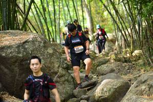 BIB: 
                            <button type="button" onclick="openModal(13696415)" class="btn btn-primary btn-sm float-right btn-popup" data-toggle="modal" data-target=".modal-high-quality">
                        <i class="fas fa-shopping-cart"></i> Add to Cart
                    </button>
                                            <button type="button" onclick="isThisMe(13696415, true)" class="btn btn-success btn-sm float-right btn-popup btn-isme hidden" data-toggle="tooltip" data-placement="bottom" title="นี่คือรูปของคุณใช่ไหม คลิกที่นี่เพื่อเอาเข้าอัลบั้ม">
                        <i class="fas fa-plus"></i> Add to album
                    </button>
                    <button type="button" onclick="isThisMe(13696415, false)" class="btn btn-warning btn-sm float-right btn-popup btn-isnotme hidden">
                        <i class="fas fa-ban"></i> Remove from album
                    </button>