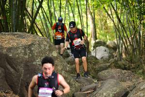 BIB: 
                            <button type="button" onclick="openModal(13668941)" class="btn btn-primary btn-sm float-right btn-popup" data-toggle="modal" data-target=".modal-high-quality">
                        <i class="fas fa-shopping-cart"></i> Add to Cart
                    </button>
                                            <button type="button" onclick="isThisMe(13668941, true)" class="btn btn-success btn-sm float-right btn-popup btn-isme hidden" data-toggle="tooltip" data-placement="bottom" title="นี่คือรูปของคุณใช่ไหม คลิกที่นี่เพื่อเอาเข้าอัลบั้ม">
                        <i class="fas fa-plus"></i> Add to album
                    </button>
                    <button type="button" onclick="isThisMe(13668941, false)" class="btn btn-warning btn-sm float-right btn-popup btn-isnotme hidden">
                        <i class="fas fa-ban"></i> Remove from album
                    </button>