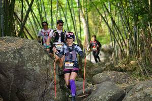 BIB: 
                            <button type="button" onclick="openModal(13689630)" class="btn btn-primary btn-sm float-right btn-popup" data-toggle="modal" data-target=".modal-high-quality">
                        <i class="fas fa-shopping-cart"></i> Add to Cart
                    </button>
                                            <button type="button" onclick="isThisMe(13689630, true)" class="btn btn-success btn-sm float-right btn-popup btn-isme hidden" data-toggle="tooltip" data-placement="bottom" title="นี่คือรูปของคุณใช่ไหม คลิกที่นี่เพื่อเอาเข้าอัลบั้ม">
                        <i class="fas fa-plus"></i> Add to album
                    </button>
                    <button type="button" onclick="isThisMe(13689630, false)" class="btn btn-warning btn-sm float-right btn-popup btn-isnotme hidden">
                        <i class="fas fa-ban"></i> Remove from album
                    </button>