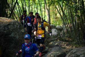 BIB: 
                            <button type="button" onclick="openModal(13656892)" class="btn btn-primary btn-sm float-right btn-popup" data-toggle="modal" data-target=".modal-high-quality">
                        <i class="fas fa-shopping-cart"></i> Add to Cart
                    </button>
                                            <button type="button" onclick="isThisMe(13656892, true)" class="btn btn-success btn-sm float-right btn-popup btn-isme hidden" data-toggle="tooltip" data-placement="bottom" title="นี่คือรูปของคุณใช่ไหม คลิกที่นี่เพื่อเอาเข้าอัลบั้ม">
                        <i class="fas fa-plus"></i> Add to album
                    </button>
                    <button type="button" onclick="isThisMe(13656892, false)" class="btn btn-warning btn-sm float-right btn-popup btn-isnotme hidden">
                        <i class="fas fa-ban"></i> Remove from album
                    </button>