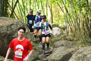 BIB: 
                            <button type="button" onclick="openModal(13671342)" class="btn btn-primary btn-sm float-right btn-popup" data-toggle="modal" data-target=".modal-high-quality">
                        <i class="fas fa-shopping-cart"></i> Add to Cart
                    </button>
                                            <button type="button" onclick="isThisMe(13671342, true)" class="btn btn-success btn-sm float-right btn-popup btn-isme hidden" data-toggle="tooltip" data-placement="bottom" title="นี่คือรูปของคุณใช่ไหม คลิกที่นี่เพื่อเอาเข้าอัลบั้ม">
                        <i class="fas fa-plus"></i> Add to album
                    </button>
                    <button type="button" onclick="isThisMe(13671342, false)" class="btn btn-warning btn-sm float-right btn-popup btn-isnotme hidden">
                        <i class="fas fa-ban"></i> Remove from album
                    </button>