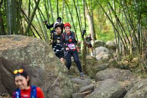 BIB: 
                            <button type="button" onclick="openModal(13689654)" class="btn btn-primary btn-sm float-right btn-popup" data-toggle="modal" data-target=".modal-high-quality">
                        <i class="fas fa-shopping-cart"></i> Add to Cart
                    </button>
                                            <button type="button" onclick="isThisMe(13689654, true)" class="btn btn-success btn-sm float-right btn-popup btn-isme hidden" data-toggle="tooltip" data-placement="bottom" title="นี่คือรูปของคุณใช่ไหม คลิกที่นี่เพื่อเอาเข้าอัลบั้ม">
                        <i class="fas fa-plus"></i> Add to album
                    </button>
                    <button type="button" onclick="isThisMe(13689654, false)" class="btn btn-warning btn-sm float-right btn-popup btn-isnotme hidden">
                        <i class="fas fa-ban"></i> Remove from album
                    </button>