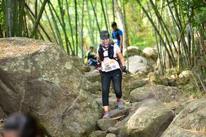 BIB: 
                            <button type="button" onclick="openModal(13696453)" class="btn btn-primary btn-sm float-right btn-popup" data-toggle="modal" data-target=".modal-high-quality">
                        <i class="fas fa-shopping-cart"></i> Add to Cart
                    </button>
                                            <button type="button" onclick="isThisMe(13696453, true)" class="btn btn-success btn-sm float-right btn-popup btn-isme hidden" data-toggle="tooltip" data-placement="bottom" title="นี่คือรูปของคุณใช่ไหม คลิกที่นี่เพื่อเอาเข้าอัลบั้ม">
                        <i class="fas fa-plus"></i> Add to album
                    </button>
                    <button type="button" onclick="isThisMe(13696453, false)" class="btn btn-warning btn-sm float-right btn-popup btn-isnotme hidden">
                        <i class="fas fa-ban"></i> Remove from album
                    </button>