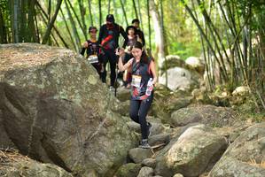 BIB: 
                            <button type="button" onclick="openModal(13695681)" class="btn btn-primary btn-sm float-right btn-popup" data-toggle="modal" data-target=".modal-high-quality">
                        <i class="fas fa-shopping-cart"></i> Add to Cart
                    </button>
                                            <button type="button" onclick="isThisMe(13695681, true)" class="btn btn-success btn-sm float-right btn-popup btn-isme hidden" data-toggle="tooltip" data-placement="bottom" title="นี่คือรูปของคุณใช่ไหม คลิกที่นี่เพื่อเอาเข้าอัลบั้ม">
                        <i class="fas fa-plus"></i> Add to album
                    </button>
                    <button type="button" onclick="isThisMe(13695681, false)" class="btn btn-warning btn-sm float-right btn-popup btn-isnotme hidden">
                        <i class="fas fa-ban"></i> Remove from album
                    </button>