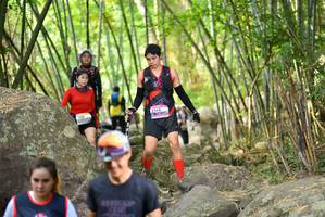 BIB: 
                            <button type="button" onclick="openModal(13689104)" class="btn btn-primary btn-sm float-right btn-popup" data-toggle="modal" data-target=".modal-high-quality">
                        <i class="fas fa-shopping-cart"></i> Add to Cart
                    </button>
                                            <button type="button" onclick="isThisMe(13689104, true)" class="btn btn-success btn-sm float-right btn-popup btn-isme hidden" data-toggle="tooltip" data-placement="bottom" title="นี่คือรูปของคุณใช่ไหม คลิกที่นี่เพื่อเอาเข้าอัลบั้ม">
                        <i class="fas fa-plus"></i> Add to album
                    </button>
                    <button type="button" onclick="isThisMe(13689104, false)" class="btn btn-warning btn-sm float-right btn-popup btn-isnotme hidden">
                        <i class="fas fa-ban"></i> Remove from album
                    </button>