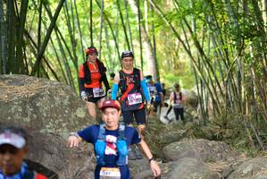 BIB: 
                            <button type="button" onclick="openModal(13671407)" class="btn btn-primary btn-sm float-right btn-popup" data-toggle="modal" data-target=".modal-high-quality">
                        <i class="fas fa-shopping-cart"></i> Add to Cart
                    </button>
                                            <button type="button" onclick="isThisMe(13671407, true)" class="btn btn-success btn-sm float-right btn-popup btn-isme hidden" data-toggle="tooltip" data-placement="bottom" title="นี่คือรูปของคุณใช่ไหม คลิกที่นี่เพื่อเอาเข้าอัลบั้ม">
                        <i class="fas fa-plus"></i> Add to album
                    </button>
                    <button type="button" onclick="isThisMe(13671407, false)" class="btn btn-warning btn-sm float-right btn-popup btn-isnotme hidden">
                        <i class="fas fa-ban"></i> Remove from album
                    </button>