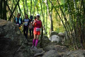 BIB: 
                            <button type="button" onclick="openModal(13648118)" class="btn btn-primary btn-sm float-right btn-popup" data-toggle="modal" data-target=".modal-high-quality">
                        <i class="fas fa-shopping-cart"></i> Add to Cart
                    </button>
                                            <button type="button" onclick="isThisMe(13648118, true)" class="btn btn-success btn-sm float-right btn-popup btn-isme hidden" data-toggle="tooltip" data-placement="bottom" title="นี่คือรูปของคุณใช่ไหม คลิกที่นี่เพื่อเอาเข้าอัลบั้ม">
                        <i class="fas fa-plus"></i> Add to album
                    </button>
                    <button type="button" onclick="isThisMe(13648118, false)" class="btn btn-warning btn-sm float-right btn-popup btn-isnotme hidden">
                        <i class="fas fa-ban"></i> Remove from album
                    </button>