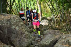 BIB: 
                            <button type="button" onclick="openModal(13688905)" class="btn btn-primary btn-sm float-right btn-popup" data-toggle="modal" data-target=".modal-high-quality">
                        <i class="fas fa-shopping-cart"></i> Add to Cart
                    </button>
                                            <button type="button" onclick="isThisMe(13688905, true)" class="btn btn-success btn-sm float-right btn-popup btn-isme hidden" data-toggle="tooltip" data-placement="bottom" title="นี่คือรูปของคุณใช่ไหม คลิกที่นี่เพื่อเอาเข้าอัลบั้ม">
                        <i class="fas fa-plus"></i> Add to album
                    </button>
                    <button type="button" onclick="isThisMe(13688905, false)" class="btn btn-warning btn-sm float-right btn-popup btn-isnotme hidden">
                        <i class="fas fa-ban"></i> Remove from album
                    </button>