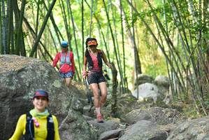 BIB: 
                            <button type="button" onclick="openModal(13648185)" class="btn btn-primary btn-sm float-right btn-popup" data-toggle="modal" data-target=".modal-high-quality">
                        <i class="fas fa-shopping-cart"></i> Add to Cart
                    </button>
                                            <button type="button" onclick="isThisMe(13648185, true)" class="btn btn-success btn-sm float-right btn-popup btn-isme hidden" data-toggle="tooltip" data-placement="bottom" title="นี่คือรูปของคุณใช่ไหม คลิกที่นี่เพื่อเอาเข้าอัลบั้ม">
                        <i class="fas fa-plus"></i> Add to album
                    </button>
                    <button type="button" onclick="isThisMe(13648185, false)" class="btn btn-warning btn-sm float-right btn-popup btn-isnotme hidden">
                        <i class="fas fa-ban"></i> Remove from album
                    </button>