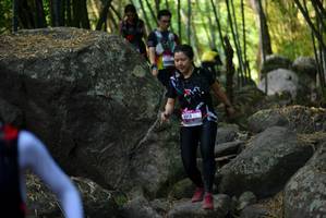 BIB: 
                            <button type="button" onclick="openModal(13648042)" class="btn btn-primary btn-sm float-right btn-popup" data-toggle="modal" data-target=".modal-high-quality">
                        <i class="fas fa-shopping-cart"></i> Add to Cart
                    </button>
                                            <button type="button" onclick="isThisMe(13648042, true)" class="btn btn-success btn-sm float-right btn-popup btn-isme hidden" data-toggle="tooltip" data-placement="bottom" title="นี่คือรูปของคุณใช่ไหม คลิกที่นี่เพื่อเอาเข้าอัลบั้ม">
                        <i class="fas fa-plus"></i> Add to album
                    </button>
                    <button type="button" onclick="isThisMe(13648042, false)" class="btn btn-warning btn-sm float-right btn-popup btn-isnotme hidden">
                        <i class="fas fa-ban"></i> Remove from album
                    </button>