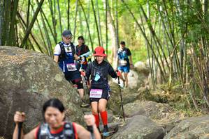 BIB: 
                            <button type="button" onclick="openModal(13693046)" class="btn btn-primary btn-sm float-right btn-popup" data-toggle="modal" data-target=".modal-high-quality">
                        <i class="fas fa-shopping-cart"></i> Add to Cart
                    </button>
                                            <button type="button" onclick="isThisMe(13693046, true)" class="btn btn-success btn-sm float-right btn-popup btn-isme hidden" data-toggle="tooltip" data-placement="bottom" title="นี่คือรูปของคุณใช่ไหม คลิกที่นี่เพื่อเอาเข้าอัลบั้ม">
                        <i class="fas fa-plus"></i> Add to album
                    </button>
                    <button type="button" onclick="isThisMe(13693046, false)" class="btn btn-warning btn-sm float-right btn-popup btn-isnotme hidden">
                        <i class="fas fa-ban"></i> Remove from album
                    </button>