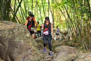 BIB: 
                            <button type="button" onclick="openModal(13671313)" class="btn btn-primary btn-sm float-right btn-popup" data-toggle="modal" data-target=".modal-high-quality">
                        <i class="fas fa-shopping-cart"></i> Add to Cart
                    </button>
                                            <button type="button" onclick="isThisMe(13671313, true)" class="btn btn-success btn-sm float-right btn-popup btn-isme hidden" data-toggle="tooltip" data-placement="bottom" title="นี่คือรูปของคุณใช่ไหม คลิกที่นี่เพื่อเอาเข้าอัลบั้ม">
                        <i class="fas fa-plus"></i> Add to album
                    </button>
                    <button type="button" onclick="isThisMe(13671313, false)" class="btn btn-warning btn-sm float-right btn-popup btn-isnotme hidden">
                        <i class="fas fa-ban"></i> Remove from album
                    </button>