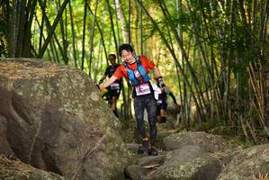 BIB: 
                            <button type="button" onclick="openModal(13645354)" class="btn btn-primary btn-sm float-right btn-popup" data-toggle="modal" data-target=".modal-high-quality">
                        <i class="fas fa-shopping-cart"></i> Add to Cart
                    </button>
                                            <button type="button" onclick="isThisMe(13645354, true)" class="btn btn-success btn-sm float-right btn-popup btn-isme hidden" data-toggle="tooltip" data-placement="bottom" title="นี่คือรูปของคุณใช่ไหม คลิกที่นี่เพื่อเอาเข้าอัลบั้ม">
                        <i class="fas fa-plus"></i> Add to album
                    </button>
                    <button type="button" onclick="isThisMe(13645354, false)" class="btn btn-warning btn-sm float-right btn-popup btn-isnotme hidden">
                        <i class="fas fa-ban"></i> Remove from album
                    </button>