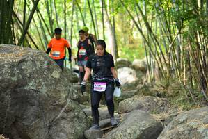 BIB: 
                            <button type="button" onclick="openModal(13688677)" class="btn btn-primary btn-sm float-right btn-popup" data-toggle="modal" data-target=".modal-high-quality">
                        <i class="fas fa-shopping-cart"></i> Add to Cart
                    </button>
                                            <button type="button" onclick="isThisMe(13688677, true)" class="btn btn-success btn-sm float-right btn-popup btn-isme hidden" data-toggle="tooltip" data-placement="bottom" title="นี่คือรูปของคุณใช่ไหม คลิกที่นี่เพื่อเอาเข้าอัลบั้ม">
                        <i class="fas fa-plus"></i> Add to album
                    </button>
                    <button type="button" onclick="isThisMe(13688677, false)" class="btn btn-warning btn-sm float-right btn-popup btn-isnotme hidden">
                        <i class="fas fa-ban"></i> Remove from album
                    </button>