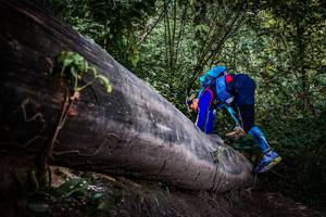 BIB: 
                            <button type="button" onclick="openModal(13519839)" class="btn btn-primary btn-sm float-right btn-popup" data-toggle="modal" data-target=".modal-high-quality">
                        <i class="fas fa-shopping-cart"></i> Add to Cart
                    </button>
                                            <button type="button" onclick="isThisMe(13519839, true)" class="btn btn-success btn-sm float-right btn-popup btn-isme hidden" data-toggle="tooltip" data-placement="bottom" title="นี่คือรูปของคุณใช่ไหม คลิกที่นี่เพื่อเอาเข้าอัลบั้ม">
                        <i class="fas fa-plus"></i> Add to album
                    </button>
                    <button type="button" onclick="isThisMe(13519839, false)" class="btn btn-warning btn-sm float-right btn-popup btn-isnotme hidden">
                        <i class="fas fa-ban"></i> Remove from album
                    </button>