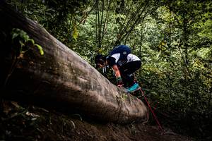 BIB: 
                            <button type="button" onclick="openModal(13525713)" class="btn btn-primary btn-sm float-right btn-popup" data-toggle="modal" data-target=".modal-high-quality">
                        <i class="fas fa-shopping-cart"></i> Add to Cart
                    </button>
                                            <button type="button" onclick="isThisMe(13525713, true)" class="btn btn-success btn-sm float-right btn-popup btn-isme hidden" data-toggle="tooltip" data-placement="bottom" title="นี่คือรูปของคุณใช่ไหม คลิกที่นี่เพื่อเอาเข้าอัลบั้ม">
                        <i class="fas fa-plus"></i> Add to album
                    </button>
                    <button type="button" onclick="isThisMe(13525713, false)" class="btn btn-warning btn-sm float-right btn-popup btn-isnotme hidden">
                        <i class="fas fa-ban"></i> Remove from album
                    </button>