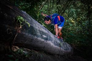 BIB: 
                            <button type="button" onclick="openModal(13519529)" class="btn btn-primary btn-sm float-right btn-popup" data-toggle="modal" data-target=".modal-high-quality">
                        <i class="fas fa-shopping-cart"></i> Add to Cart
                    </button>
                                            <button type="button" onclick="isThisMe(13519529, true)" class="btn btn-success btn-sm float-right btn-popup btn-isme hidden" data-toggle="tooltip" data-placement="bottom" title="นี่คือรูปของคุณใช่ไหม คลิกที่นี่เพื่อเอาเข้าอัลบั้ม">
                        <i class="fas fa-plus"></i> Add to album
                    </button>
                    <button type="button" onclick="isThisMe(13519529, false)" class="btn btn-warning btn-sm float-right btn-popup btn-isnotme hidden">
                        <i class="fas fa-ban"></i> Remove from album
                    </button>