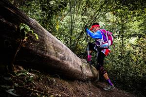 BIB: 
                            <button type="button" onclick="openModal(13525859)" class="btn btn-primary btn-sm float-right btn-popup" data-toggle="modal" data-target=".modal-high-quality">
                        <i class="fas fa-shopping-cart"></i> Add to Cart
                    </button>
                                            <button type="button" onclick="isThisMe(13525859, true)" class="btn btn-success btn-sm float-right btn-popup btn-isme hidden" data-toggle="tooltip" data-placement="bottom" title="นี่คือรูปของคุณใช่ไหม คลิกที่นี่เพื่อเอาเข้าอัลบั้ม">
                        <i class="fas fa-plus"></i> Add to album
                    </button>
                    <button type="button" onclick="isThisMe(13525859, false)" class="btn btn-warning btn-sm float-right btn-popup btn-isnotme hidden">
                        <i class="fas fa-ban"></i> Remove from album
                    </button>