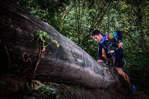 BIB: 
                            <button type="button" onclick="openModal(13519903)" class="btn btn-primary btn-sm float-right btn-popup" data-toggle="modal" data-target=".modal-high-quality">
                        <i class="fas fa-shopping-cart"></i> Add to Cart
                    </button>
                                            <button type="button" onclick="isThisMe(13519903, true)" class="btn btn-success btn-sm float-right btn-popup btn-isme hidden" data-toggle="tooltip" data-placement="bottom" title="นี่คือรูปของคุณใช่ไหม คลิกที่นี่เพื่อเอาเข้าอัลบั้ม">
                        <i class="fas fa-plus"></i> Add to album
                    </button>
                    <button type="button" onclick="isThisMe(13519903, false)" class="btn btn-warning btn-sm float-right btn-popup btn-isnotme hidden">
                        <i class="fas fa-ban"></i> Remove from album
                    </button>