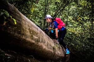 BIB: 
                            <button type="button" onclick="openModal(13525816)" class="btn btn-primary btn-sm float-right btn-popup" data-toggle="modal" data-target=".modal-high-quality">
                        <i class="fas fa-shopping-cart"></i> Add to Cart
                    </button>
                                            <button type="button" onclick="isThisMe(13525816, true)" class="btn btn-success btn-sm float-right btn-popup btn-isme hidden" data-toggle="tooltip" data-placement="bottom" title="นี่คือรูปของคุณใช่ไหม คลิกที่นี่เพื่อเอาเข้าอัลบั้ม">
                        <i class="fas fa-plus"></i> Add to album
                    </button>
                    <button type="button" onclick="isThisMe(13525816, false)" class="btn btn-warning btn-sm float-right btn-popup btn-isnotme hidden">
                        <i class="fas fa-ban"></i> Remove from album
                    </button>